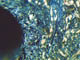 FileNo.128-011.jpg