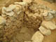 FileNo.128-023.jpg