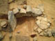 FileNo.128-031.jpg