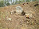 FileNo.128-050.jpg