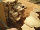 FileNo.128-065.jpg