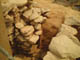 FileNo.128-067.jpg