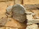 FileNo.128-078.jpg