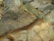 FileNo.128-080.jpg