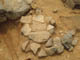 FileNo.128-082.jpg