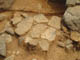 FileNo.128-083.jpg