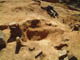 FileNo.128-084.jpg
