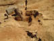 FileNo.128-085.jpg