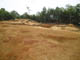 FileNo.128-086.jpg