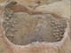 FileNo.129-010.jpg