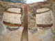FileNo.129-011.jpg