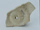 FileNo.129-019.jpg