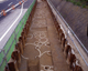FileNo.130-005.jpg