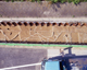 FileNo.130-006.jpg