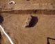 FileNo.130-010.jpg