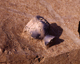 FileNo.130-022.jpg