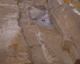 FileNo.131-031.jpg