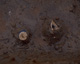 FileNo.131-040.jpg