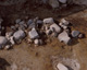 FileNo.131-055.jpg