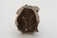 FileNo.131-066.jpg