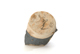 FileNo.131-081.jpg