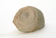 FileNo.131-093.jpg