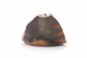 FileNo.131-098.jpg