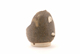 FileNo.131-102.jpg
