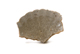 FileNo.131-118.jpg