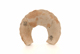 FileNo.131-128.jpg