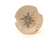 FileNo.131-132.jpg