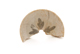 FileNo.131-134.jpg