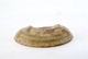 FileNo.131-137.jpg
