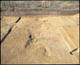 FileNo.132-002.jpg