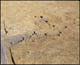 FileNo.132-003.jpg