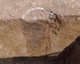 FileNo.132-007.jpg
