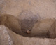 FileNo.132-009.jpg