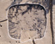 FileNo.132-012.jpg