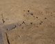 FileNo.132-016.jpg