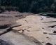 FileNo.132-022.jpg