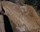 FileNo.132-037.jpg