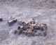 FileNo.132-043.jpg