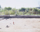 FileNo.132-045.jpg