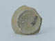 FileNo.133-007.jpg
