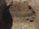 FileNo.133-022.jpg
