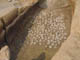 FileNo.133-033.jpg