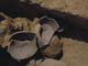 FileNo.133-047.jpg