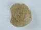 FileNo.133-072.jpg