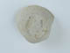 FileNo.133-080.jpg