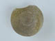 FileNo.133-132.jpg